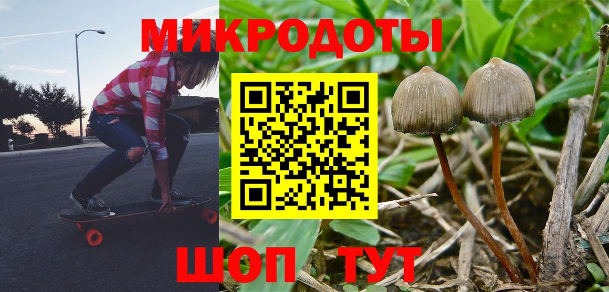 Псилоцибиновые грибы MAGIC MUSHROOMS  Вход с VPN  Пугачёв  купить закладку  Галлюциногенные грибы мицелий 
